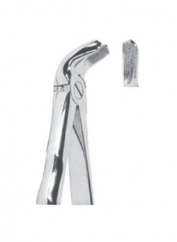 Extracting Forceps